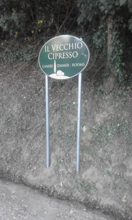 Il Vecchio Cipresso Apartman San Gimignano Kültér fotó