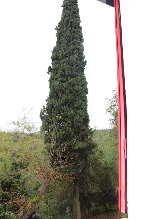 Il Vecchio Cipresso Apartman San Gimignano Kültér fotó